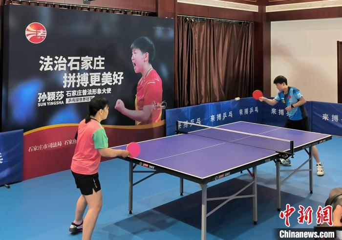 石家庄普法形象大使正式任命：世界冠军孙颖莎