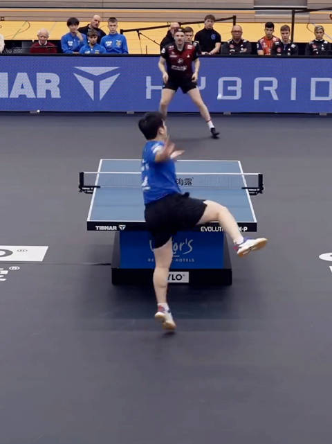 重庆冠军赛男单决赛勒布伦逆转夺冠 国乒主场